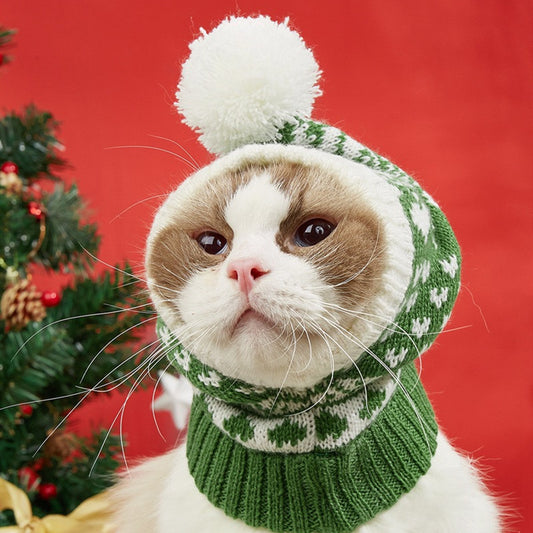 Pet Christmas Beanie